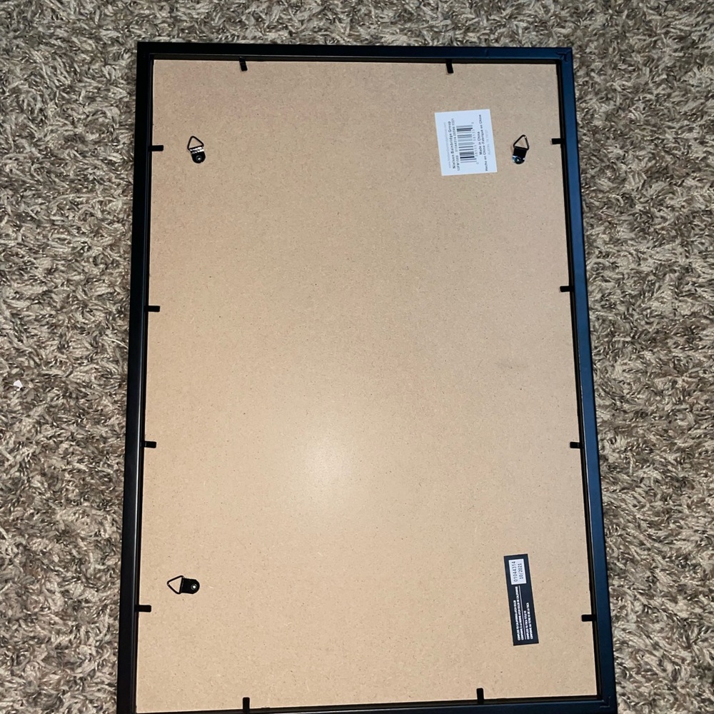 Art piece of 14 illustrated dollar bills